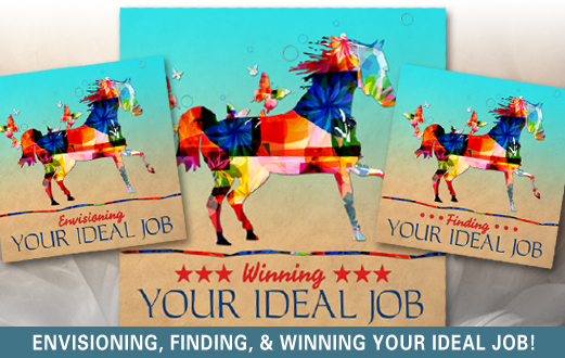 Visualize, find and land your ideal job