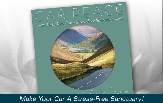 Meditation Program for Stress Reduction in your Car