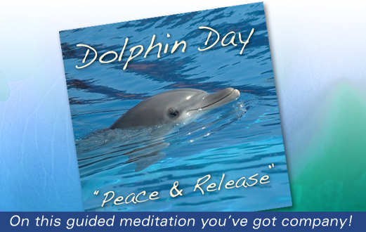 Swim with the dolphins in this guided meditation.
