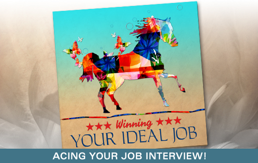 Visualize Your Job Interview