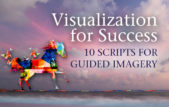 Guided Visualization Scripts for Success
